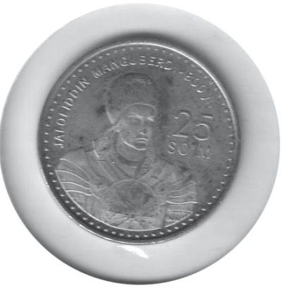 Иллюстрация к книге — История ислама. Исламская цивилизация от рождения до наших дней [i_165.jpg]