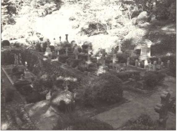 Иллюстрация к книге — Русская Япония [i_017.jpg]