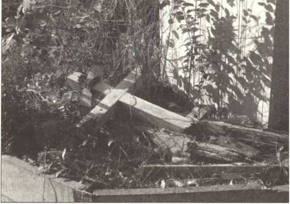 Иллюстрация к книге — Русская Япония [i_030.jpg]