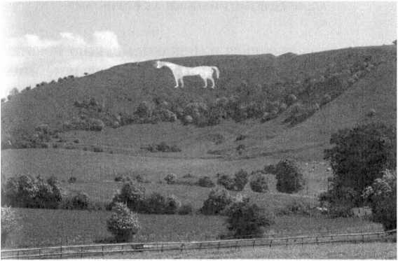 Иллюстрация к книге — Альфред Великий и война с викингами [image12.jpg]