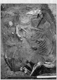 Иллюстрация к книге — Альфред Великий и война с викингами [image14.jpg]