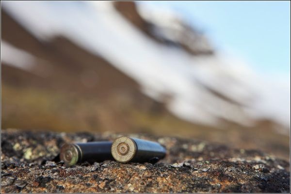 Иллюстрация к книге — Загадка штурмана Альбанова [i_016.jpg]