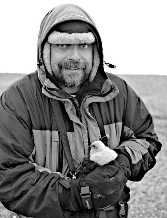 Иллюстрация к книге — Загадка штурмана Альбанова [i_017.jpg]