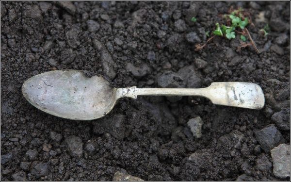 Иллюстрация к книге — Загадка штурмана Альбанова [i_024.jpg]