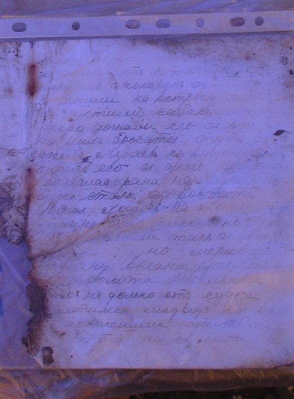 Иллюстрация к книге — Загадка штурмана Альбанова [i_031.jpg]