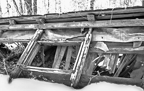 Иллюстрация к книге — Кровавые ночи 1937 года. Кремль против Лубянки [autogen_ebook_id2.jpg]