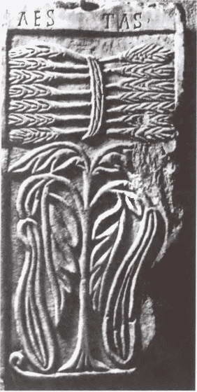 Иллюстрация к книге — Испания от античности к Средневековью [i_004.jpg]