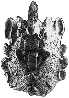 Иллюстрация к книге — Покорение Сибири. От Ермака до Беринга [_16.jpg]