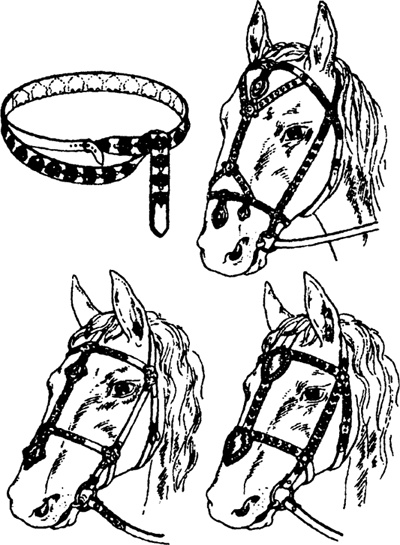 Иллюстрация к книге — Русская земля. Между язычеством и христианством. От князя Игоря до сына его Святослава [i_003.jpg]