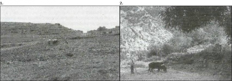 Иллюстрация к книге — История византийских войн [i_020.jpg]