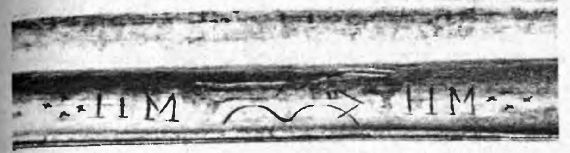 Иллюстрация к книге — Оружие из дамаска и булата [pic_36.jpg]