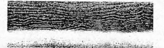 Иллюстрация к книге — Оружие из дамаска и булата [pic_53.jpg]