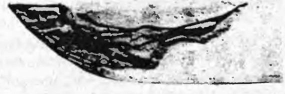 Иллюстрация к книге — Оружие из дамаска и булата [pic_67.jpg]