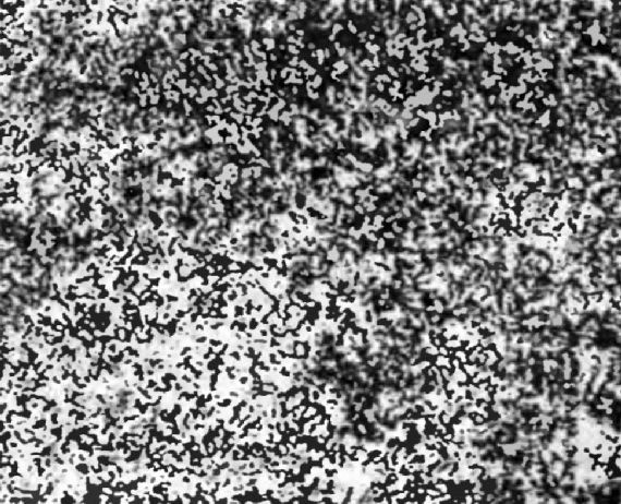 Иллюстрация к книге — Оружие из дамаска и булата [pic_8.jpg]