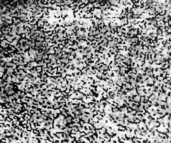 Иллюстрация к книге — Оружие из дамаска и булата [pic_95.jpg]