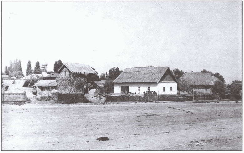 Иллюстрация к книге — Друзья и враги за Кавказским хребтом [i_019.jpg]