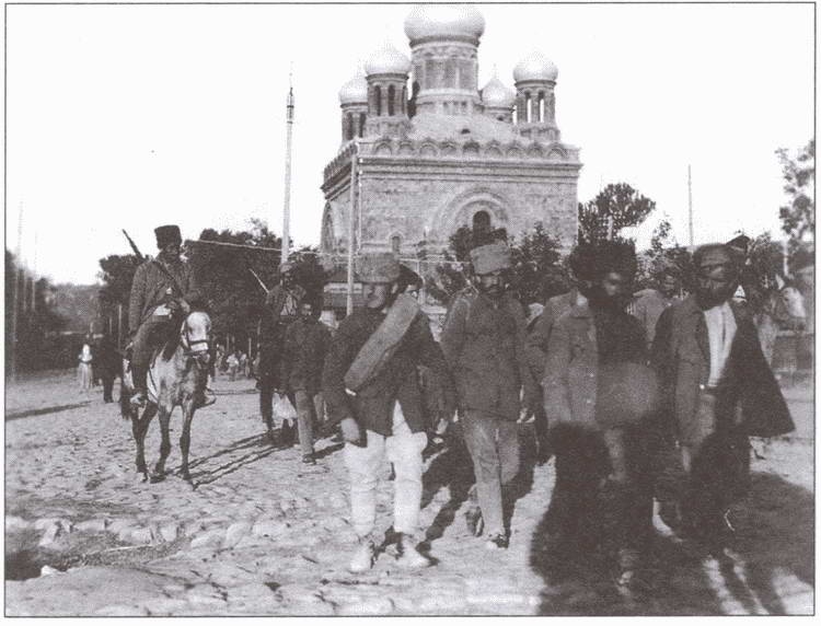 Иллюстрация к книге — Друзья и враги за Кавказским хребтом [i_039.jpg]