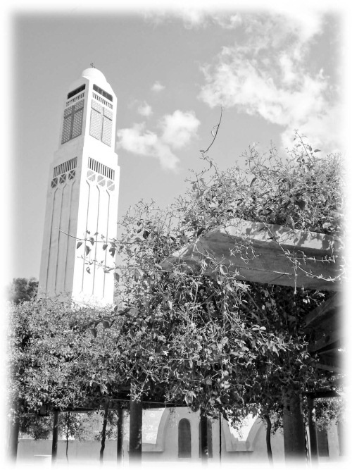 Иллюстрация к книге — Сокровища святых. Рассказы о святости [i_073.jpg]