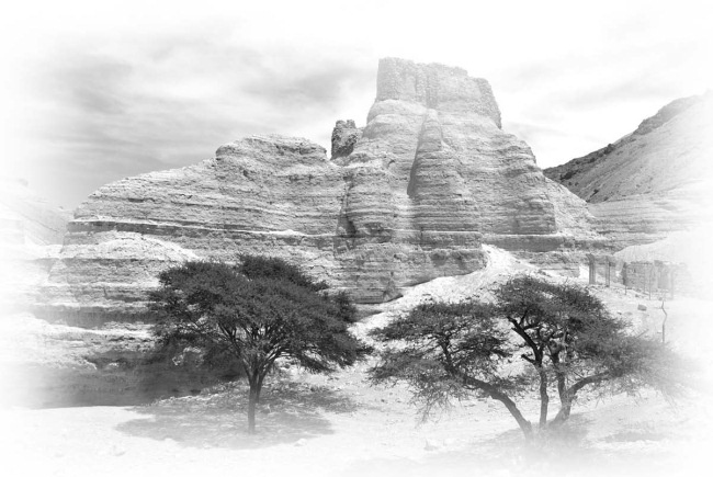 Иллюстрация к книге — Сокровища святых. Рассказы о святости [i_075.jpg]