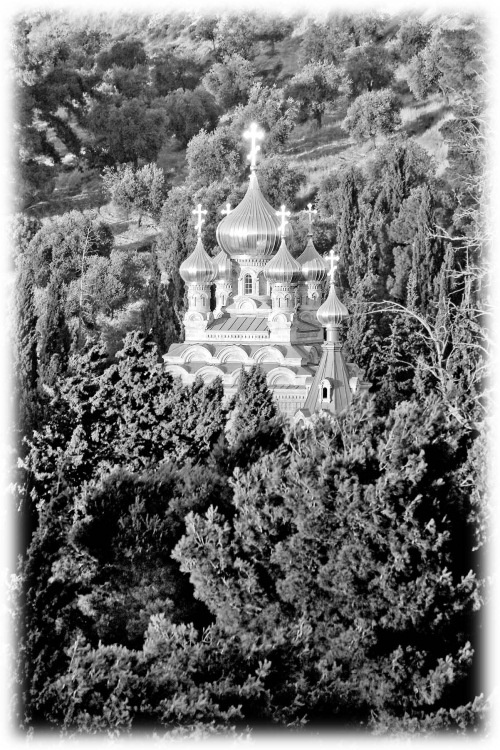 Иллюстрация к книге — Сокровища святых. Рассказы о святости [i_134.jpg]