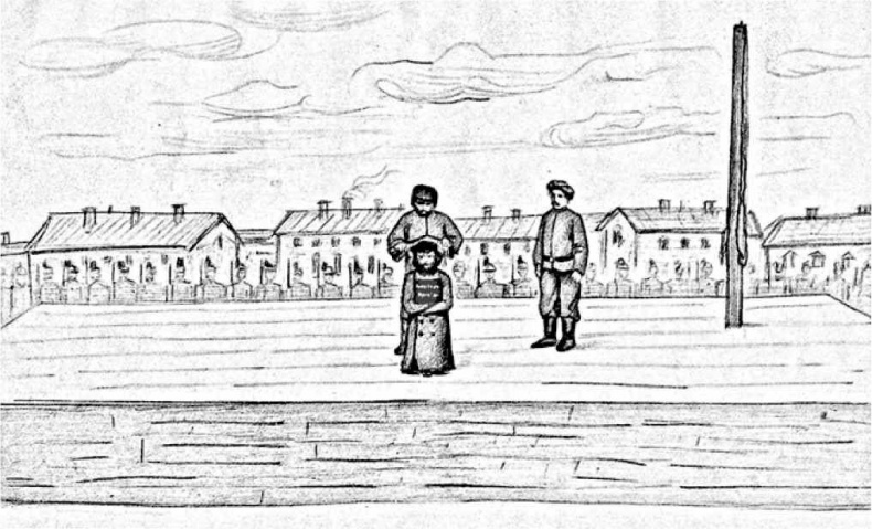 Иллюстрация к книге — Город у эшафота. За что и как казнили в Петербурге [i_006.jpg]