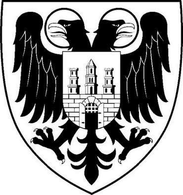 Иллюстрация к книге — Австро-Венгрия. Судьба империи [i_158.jpg]