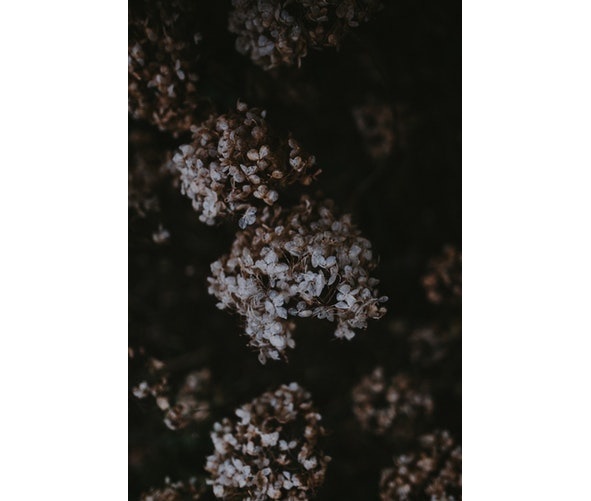 Иллюстрация к книге — Три слова [image5_5b75a3f39095fd07006d2175_jpg.jpg]