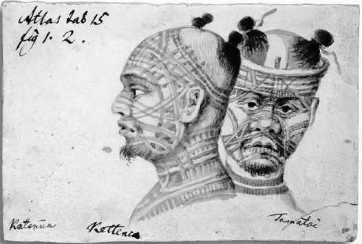 Иллюстрация к книге — AMERICAN’ец. Жизнь и удивительные приключения авантюриста графа Фёдора Ивановича Толстого [i_026.jpg]