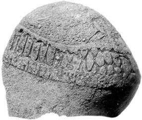 Иллюстрация к книге — Русские булки. Великая сила еды [i_001.jpg]