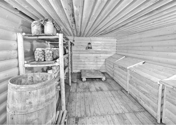 Иллюстрация к книге — Русские булки. Великая сила еды [i_027.jpg]