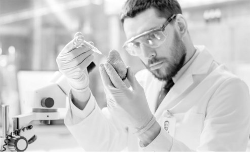 Иллюстрация к книге — Русские булки. Великая сила еды [i_031.jpg]