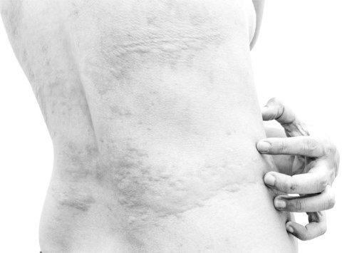 Иллюстрация к книге — Русские булки. Великая сила еды [i_034.jpg]