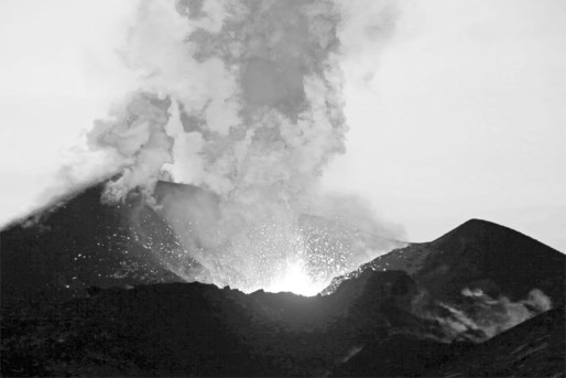 Иллюстрация к книге — Русские булки. Великая сила еды [i_040.jpg]