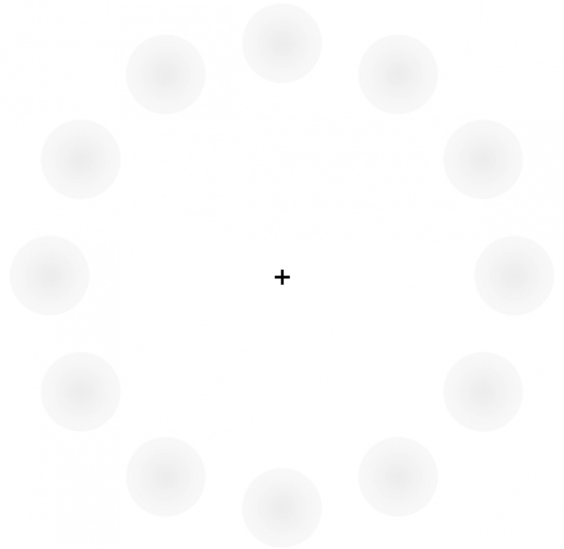 Иллюстрация к книге — Сознание и мозг. Как мозг кодирует мысли [i_004.jpg]