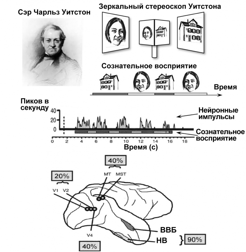 Иллюстрация к книге — Сознание и мозг. Как мозг кодирует мысли [i_005.jpg]