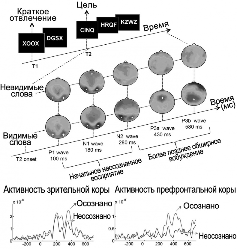 Иллюстрация к книге — Сознание и мозг. Как мозг кодирует мысли [i_020.jpg]