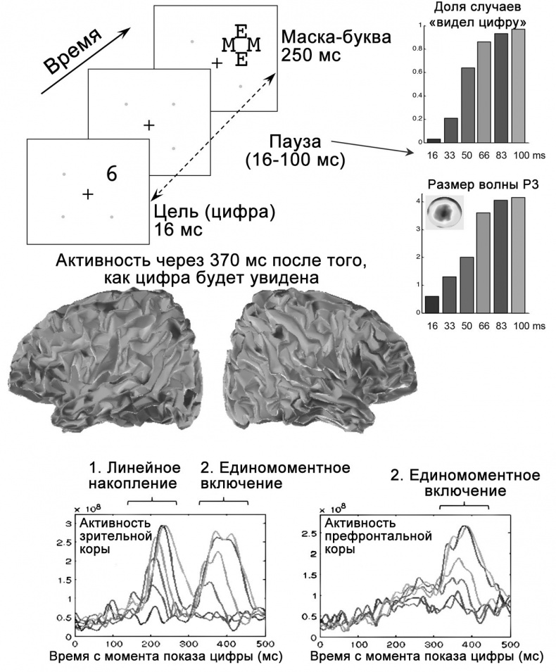 Иллюстрация к книге — Сознание и мозг. Как мозг кодирует мысли [i_021.jpg]