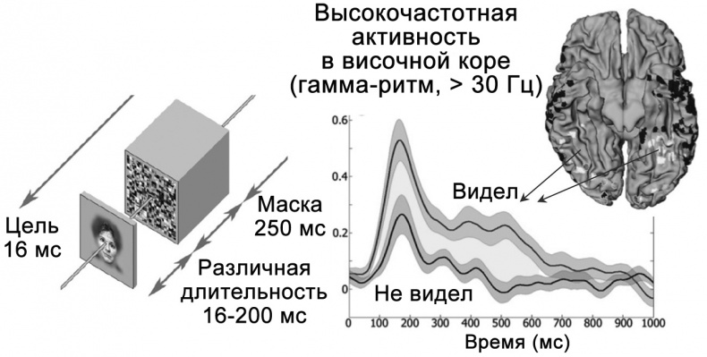 Иллюстрация к книге — Сознание и мозг. Как мозг кодирует мысли [i_022.jpg]