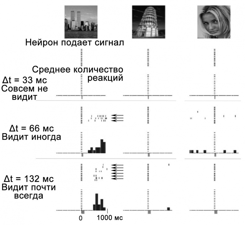 Иллюстрация к книге — Сознание и мозг. Как мозг кодирует мысли [i_025.jpg]