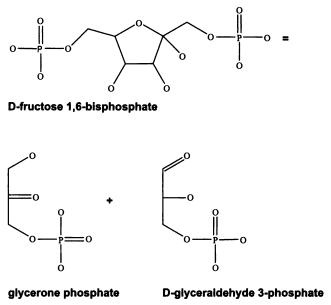 Иллюстрация к книге — Рождение сложности. Эволюционная биология сегодня. Неожиданные открытия и новые вопросы [i_023.jpg]
