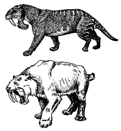 Иллюстрация к книге — Рождение сложности. Эволюционная биология сегодня. Неожиданные открытия и новые вопросы [i_024.jpg]