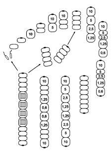Иллюстрация к книге — Рождение сложности. Эволюционная биология сегодня. Неожиданные открытия и новые вопросы [i_028.jpg]