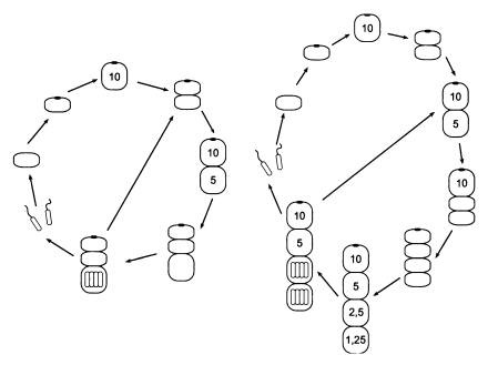 Иллюстрация к книге — Рождение сложности. Эволюционная биология сегодня. Неожиданные открытия и новые вопросы [i_032.jpg]