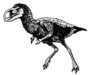 Иллюстрация к книге — Рождение сложности. Эволюционная биология сегодня. Неожиданные открытия и новые вопросы [i_045.jpg]