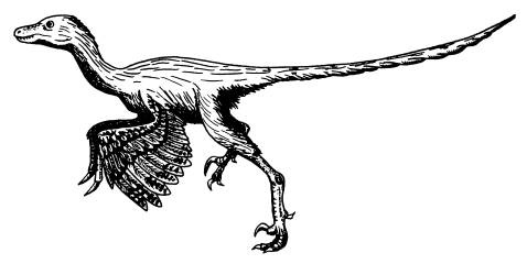 Иллюстрация к книге — Рождение сложности. Эволюционная биология сегодня. Неожиданные открытия и новые вопросы [i_061.jpg]