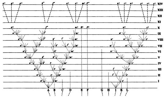 Иллюстрация к книге — Рождение сложности. Эволюционная биология сегодня. Неожиданные открытия и новые вопросы [i_074.jpg]