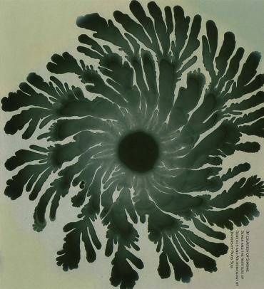 Иллюстрация к книге — Рождение сложности. Эволюционная биология сегодня. Неожиданные открытия и новые вопросы [i_090.jpg]