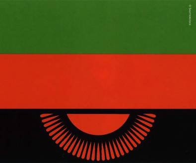 Иллюстрация к книге — Рождение сложности. Эволюционная биология сегодня. Неожиданные открытия и новые вопросы [i_094.jpg]