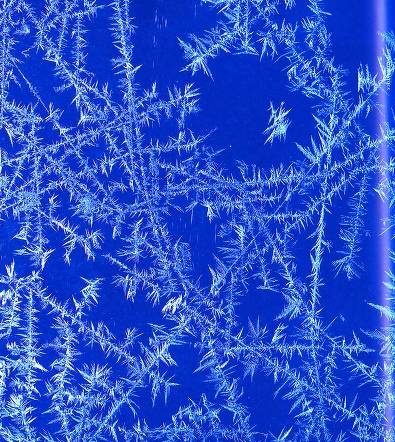 Иллюстрация к книге — Рождение сложности. Эволюционная биология сегодня. Неожиданные открытия и новые вопросы [i_099.jpg]