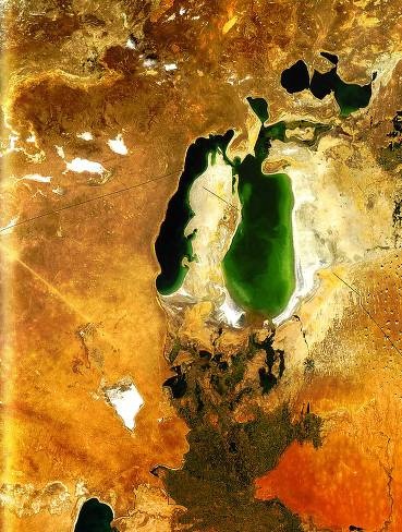 Иллюстрация к книге — Рождение сложности. Эволюционная биология сегодня. Неожиданные открытия и новые вопросы [i_100.jpg]